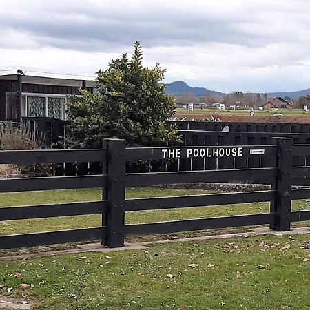 Bed and Breakfast The Poolhouse Matamata Esterno foto